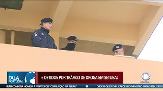 6 detidos por tráfico de droga em Setúbal