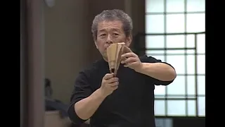 Ninjutsu. Hatsumi sensei. Tessen Bujinkan dojo.