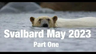 Svalbard May 2023   part One