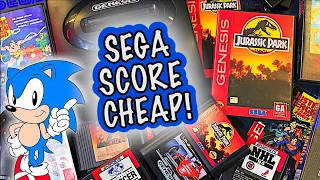 Sega Genesis Score + $270 in Sales! (Live Game Hunting) || $10 Dollar Collection (Episode 11)