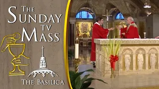 The Sunday Mass – April 2, 2023 — Palm Sunday CC