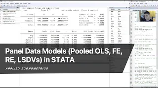 Panel Data Models (Pooled OLS, FE, RE, LSDVs) in STATA