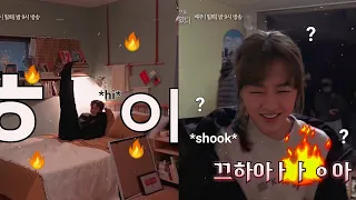 park bo young and seo in guk being a chaotic duo for more than 3 minutes (eng sub)