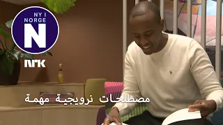 Ali har skrevet bok om norske ord og uttrykk كتاب عن الكلمات و المصطلحات النرويجية