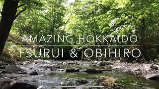 OBIHIRO & TSURUI Amazing Hokkaido Japan  帯広　鶴居村 [summer ver.]