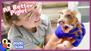 All Better — Help This Piglet With Hurt Skin Change Colors! | Dodo Kids