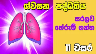 O/L Science Sinhala | Grade 11 Science Unit 6 Part 5| Respiratory System | ශ්වසන පද්ධතිය