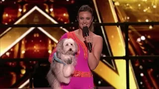 Ashleigh And Sully INTERVIEW - Britain's Got Talent The CHAMPIONS 2019   Losing Pudsey BGT Panto