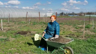 Влог:Купили Дом на Юге /Наши будни в селе/Обзор продуктов от Таи/Мамина Мечта, я не ожидала