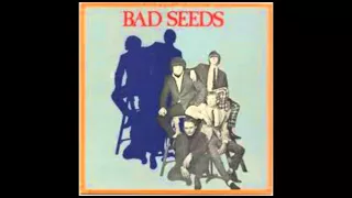 The Bad Seeds (band)-"A Taste of the Same".((J-Beck/J-1002) 1965)*****📌