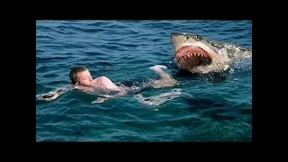 Great White Shark Attacks(full documentary)HD