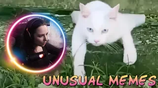 Westo4ka смотрит: UNUSUAL MEMES COMPILATION V91 | Реакция