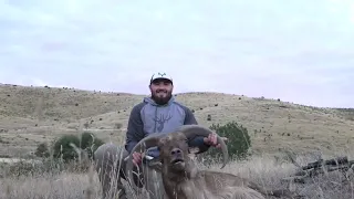 West Texas Aoudad Sheep Hunt