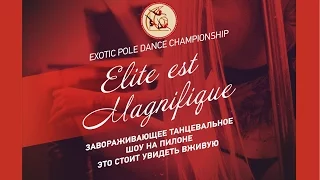 Бакин Алексей, Литвинова Анна / Exotic Pole Dance / Дуэт