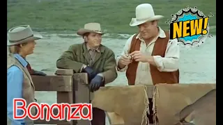 🔴 Bonanza Full Movie (4 Hours Long)🔴 Season 04 Episode 16+17+18+19+20 🔴 Western TV Series #1080p