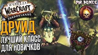ДРУИД - Лучший класс для новичков! Изменения в World of Warcraft Shadowlands 9.1