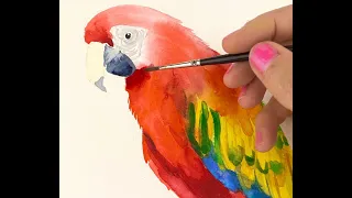 How to Paint a Parrot in Watercolor