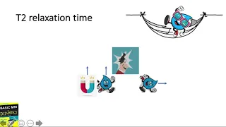 Basic MRI (2/5)- simplified and friendly