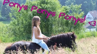 Alles dreht sich nur um Ponys! | Mein erstes Video | Marina und die Ponys