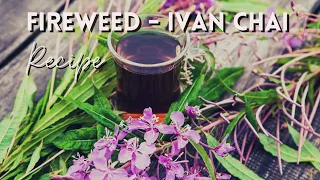 How to harvest and make healthy fireweed Ivan Chai| Fireweed benefits