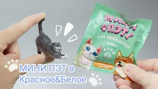 МИНИ ПЭТ в Красное&Белое! Открываем пакетики сюрпризы с кошечками и собачками.