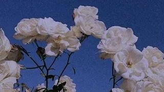 Дима Билан - Про Белые Розы[slowed]