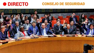 ISRAEL-GAZA: El CONSEJO de SEGURIDAD de la ONU debate la CUESTIÓN PALESTINA | RTVE Noticias