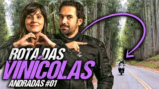 ✊ BATE E VOLTA para a ROTA DO VINHO EM MINAS GERAIS [viagem de moto]