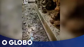 Imagens mostram chão coberto de cápsulas de fuzil em becos do Complexo do Alemão após confronto