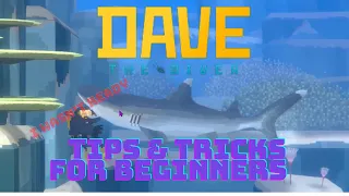 Dave The Diver Tips Guide | Tips and Tricks for Beginners