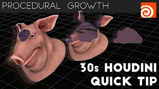 Houdini 30s Quick Tip #1 - Procedural Growth