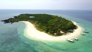 Apo Reef Above