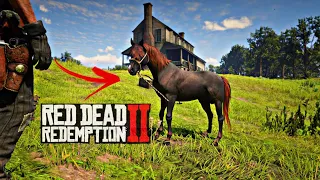 RDR2 - You'll Never Ride All Horses If You Ride This FAST HORSE :2