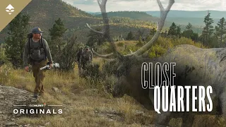 A New Mexico Elk Hunt - Close Quarters