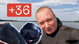 Подводная охота в +36. Где находится рыба в такую жару???