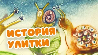 Песочные сказки. История маленькой улитки