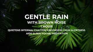 GENTLE RAIN WITH SMOOTHED BROWN NOISE FOR SLEEPING/ FOR FOCUS AND STUDY/ 1 HOUR