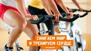 Кардио тренировка на велотренажерах в Orange Fitness Краснодар