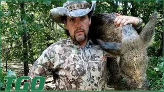 TGO | Wild Boar Traditional Bow Hunting Adventure