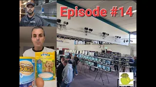 Episode - 14 Gloster Canary Australia vic's annual show and hand feeding young birds