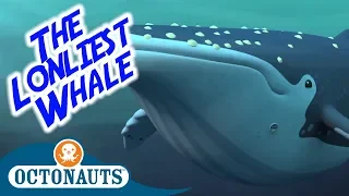 Octonauts - The Lonliest Whale | Full Episode | Cartoons for Kids