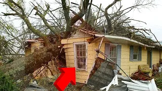 Dangerous Fastest Idiots Cutting Tree Fails Skill With Chainsaw - Fastest Removal Felling Tree