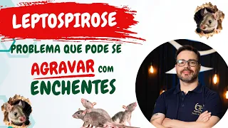 LEPTOSPIROSE - QUIMIOPROFILAXIA -  ENCHENTES NO RIO GRANDE DO SUL