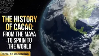 The History of Cacao: From the Maya to Spain to the World