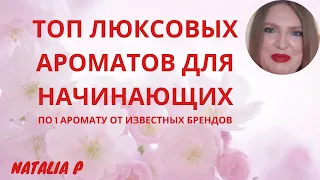 С ЧЕГО НАЧАТЬ? ТОП КОМПЛИМЕНТАРНЫХ И НОСИБЕЛЬНЫХ ЛЮКСОВЫХ АРОМАТОВ НА ЛЮБОЙ ВКУС!