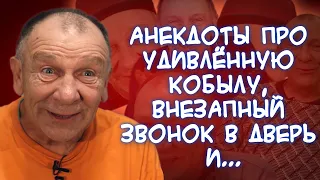 Анекдоты про фраера в храме⛪️, главу семьи, дедулек и современную моду, новогодний шоппинг🎁 и...