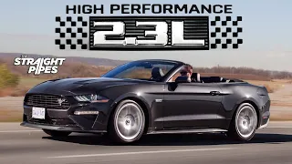 WHO BUYS THIS? 2023 Ford Mustang Ecoboost HIGH PERFORMANCE Pack Convertible Review