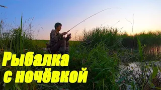 КАРАСЬ НА УТРИННЕЙ ЗОРЬКЕ! Рыбалка ЛЕТОМ с ночевкой Фидер, пикер