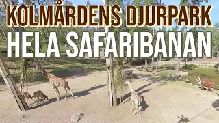 Entire Safari ride (cable car) of Kolmården Zoo 2020 | Insta360 One R