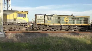 Former ANR 830 Class Locomotives 864 & 872 at Airport West - Australian Trainspotting